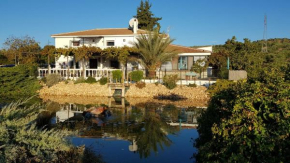Casa Olivar B&B, Tocón